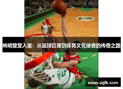姚明登堂入室：从篮球巨星到体育文化使者的传奇之路